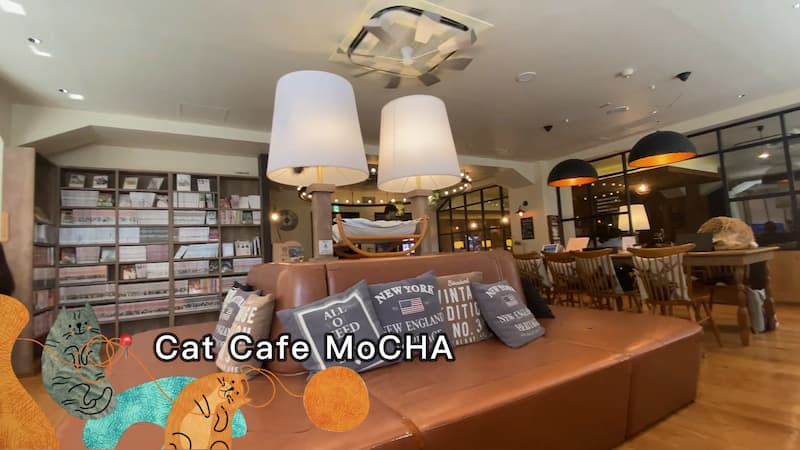 貓咖啡廳catcafe