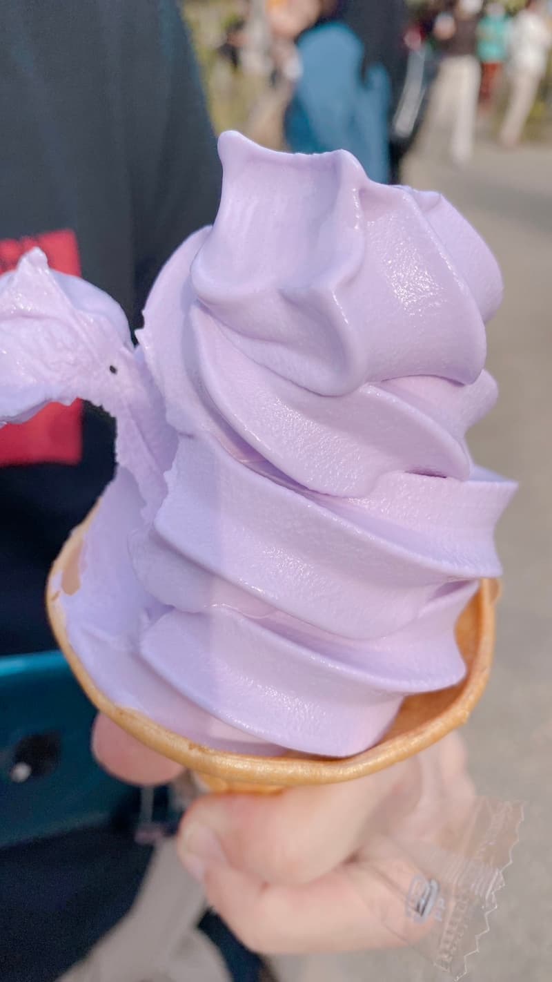 必吃打卡美食「紫藤花口味冰淇淋」