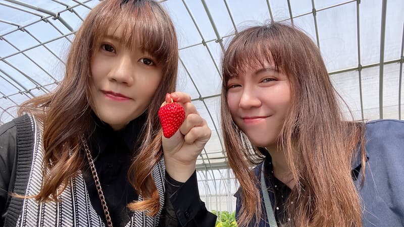 日本草莓吃到飽！東京必去採草莓人氣地點｜夢幻黑白草莓等4~13款草莓任摘任吃｜Strawberry Picking Farm in Japan|